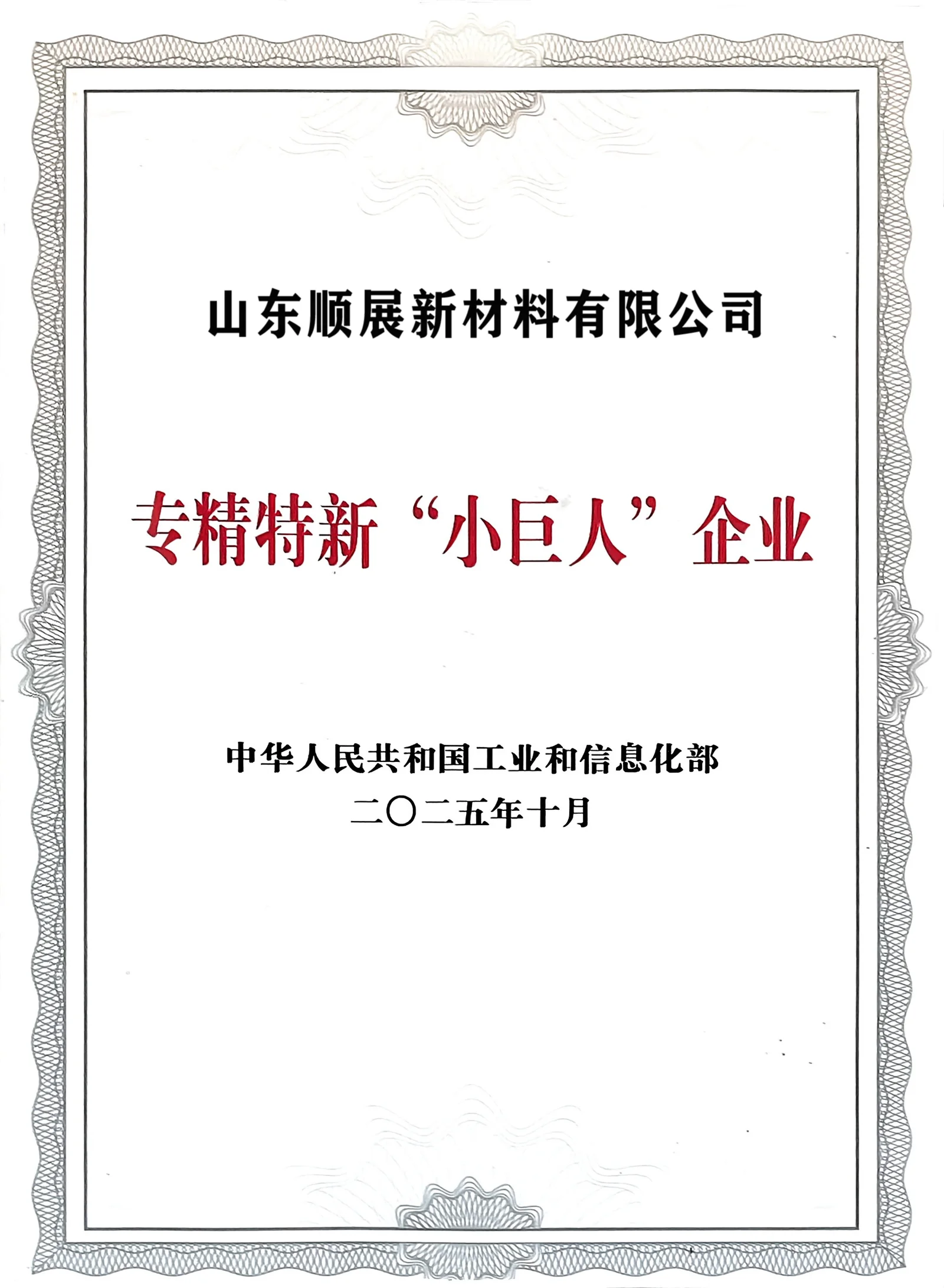Certifications & Compliance National Little Giant qualification certificate representing top-tier innovation and premium quality in BOPP and PET film manufacturing.