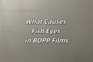 BOPP Film Common Defects: What Causes Fish Eyes fish eyes in bopp film